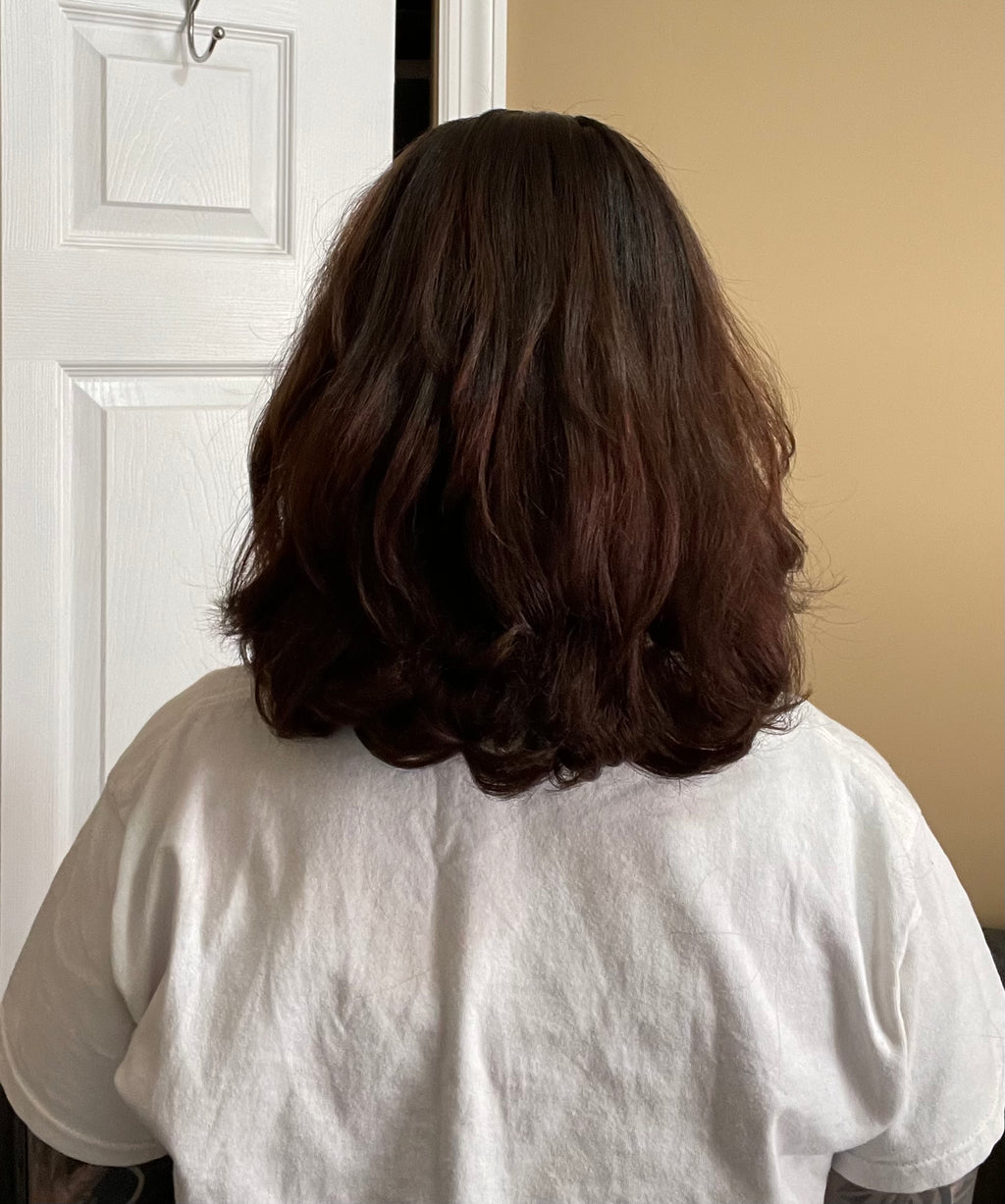 Destined Alchemy Ayurvedic Hair & Scalp Oil