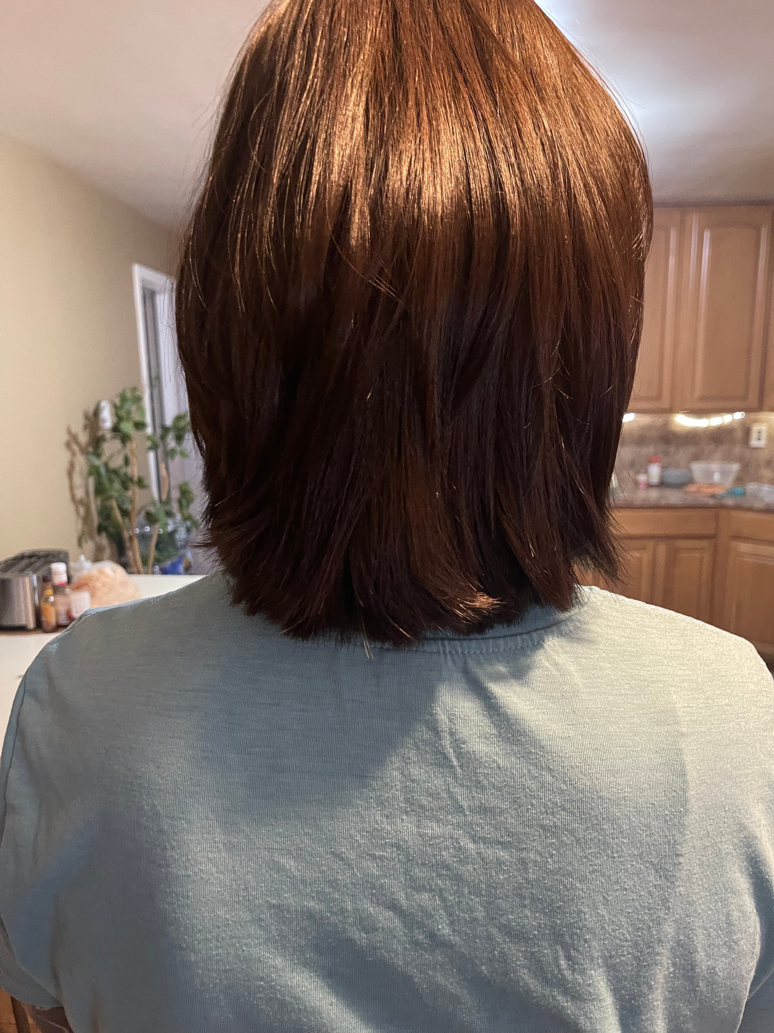 Destined Alchemy Ayurvedic Hair & Scalp Oil